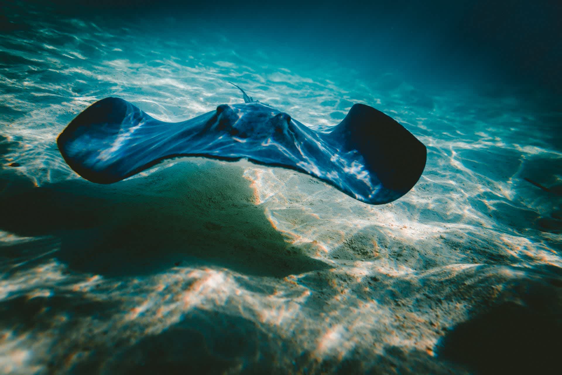 开放海洋馆